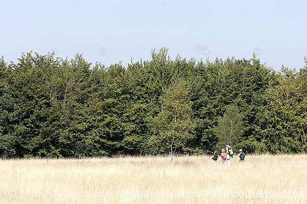 Fagne de Malchamps